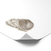Zomer Home Decor Seashell Print (Hoek)