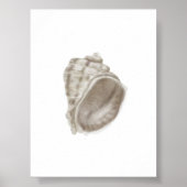 Zomer Home Decor Seashell Print (Voorkant)