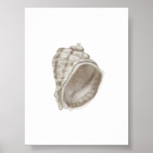 Zomer Home Decor Seashell Print (Voorkant)