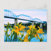Zomer in Chattanooga, TN - Walnut Street Bridge Briefkaart (Voorkant)