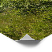 Zomer in de San Juan-bergen van Colorado Poster (Hoek)