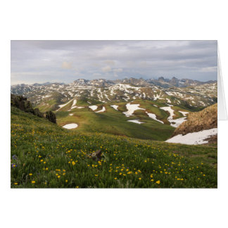 Zomer in de San Juans