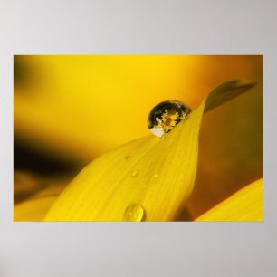 Zomer in een druppel II. Poster