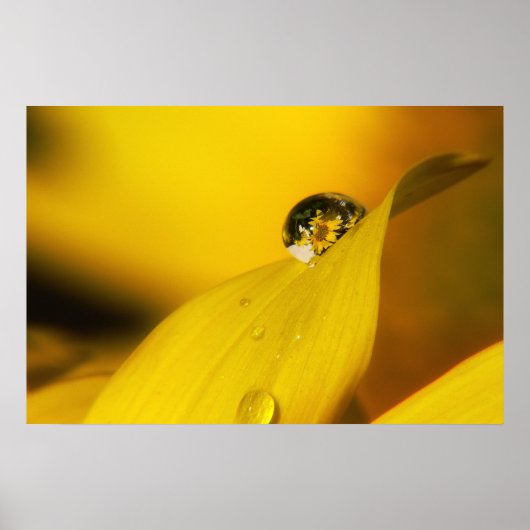 Zomer in een druppel II. Poster (Voorkant)