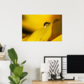 Zomer in een druppel II. Poster (Thuiskantoor)