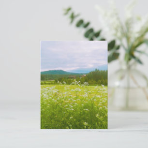 Zomer in Hälsingland - Helsingia Briefkaart