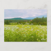 Zomer in Hälsingland - Helsingia Briefkaart (Achterkant)