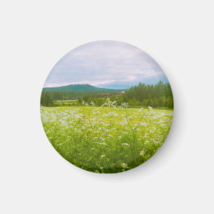 Zomer in Hälsingland - Helsingia  Magneet