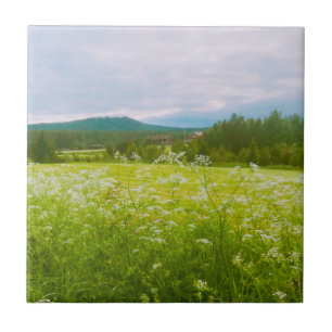 Zomer in Hälsingland - Helsingia  Tegeltje