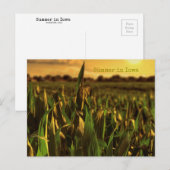 Zomer in het Briefkaart Iowa (Voorkant / Achterkant)