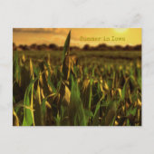 Zomer in het Briefkaart Iowa (Voorkant)