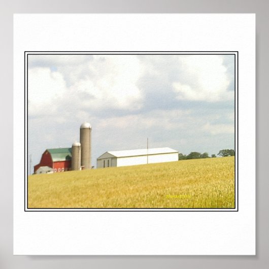 Zomer in het land poster (Voorkant)