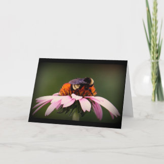 "Zomer in Texas! " Kaart