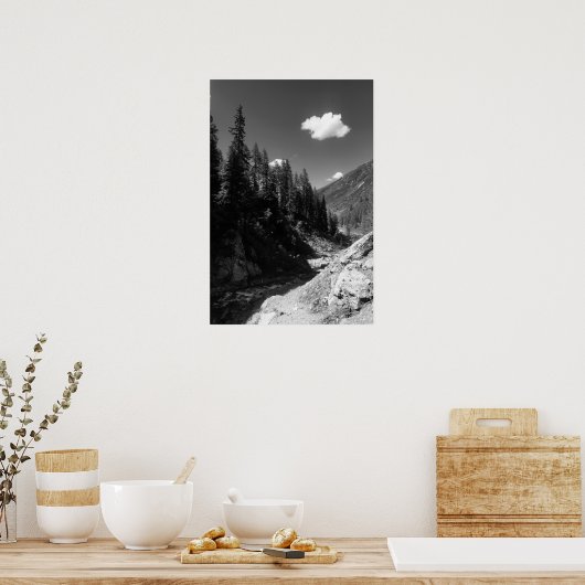 Zomer in Zwitserland Zwart-wit Foto Poster (Keuken)