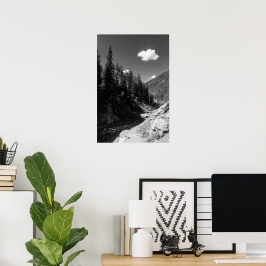 Zomer in Zwitserland Zwart-wit Foto Poster (Thuiskantoor)