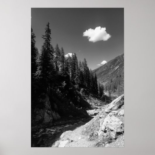 Zomer in Zwitserland Zwart-wit Foto Poster (Voorkant)