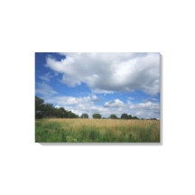 Zomer Iowa Prairie Canvas Print