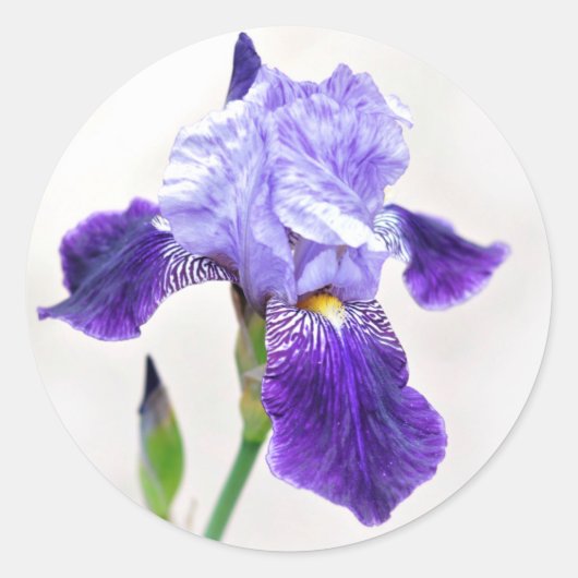 Zomer Iris Envelope Seal Ronde Sticker (Voorkant)