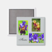 Zomer Iris magneet (Voorkant / Achterkant)