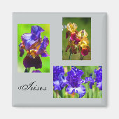 Zomer Iris magneet (Voorkant)
