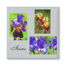 Zomer Iris magneet