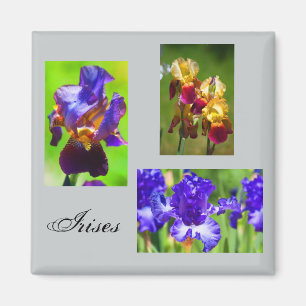 Zomer Iris magneet