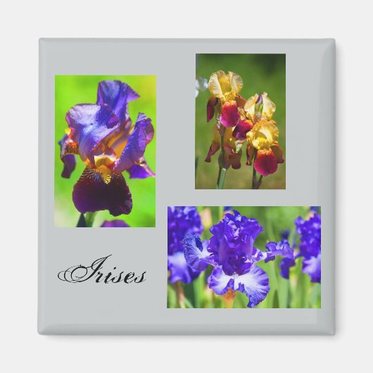 Zomer Iris magneet (Voorkant)