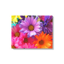 Zomer kleur Daisies Uitgerekt Canvas Print