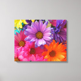 Zomer kleur Daisies Uitgerekt Canvas Print