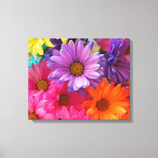 Zomer kleur Daisies Uitgerekt Canvas Print (Voorkant)