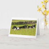 Zomer koeien Verjaardag Kaart (Gele Bloem)