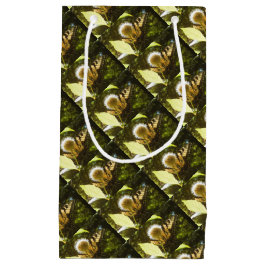 Zomer Koningsbloem Cadeautas