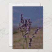 Zomer Lavendel Floral Elegant Boho Bruiloft Save The Date (Achterkant)