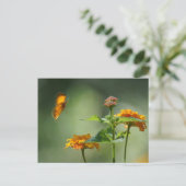 Zomer licht briefkaart (Staand voorkant)