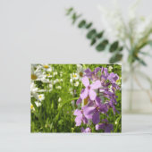 Zomer Lila en Daisies Briefkaart (Staand voorkant)