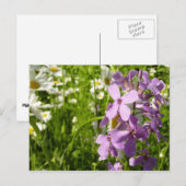 Zomer Lila en Daisies Briefkaart (Voorkant / Achterkant)