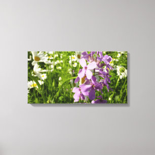 Zomer Lila en Daisies Canvas Afdruk