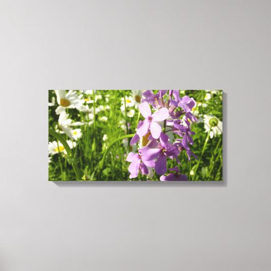 Zomer Lila en Daisies Canvas Afdruk (Voorkant)