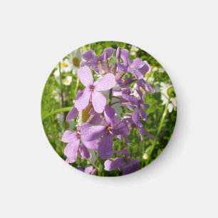 Zomer Lila en Daisies Magneet