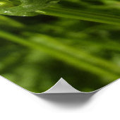 Zomer Lila en Daisies Poster (Hoek)