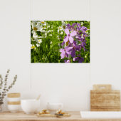 Zomer Lila en Daisies Poster (Keuken)