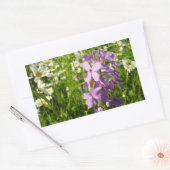 Zomer Lila en Daisies Rechthoekige Sticker (Envelop)