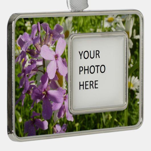 Zomer Lila en Daisies Verzilverd Omlijst Ornament (Rechts)