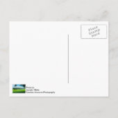 Zomer op de golfbaan briefkaart (Achterkant)
