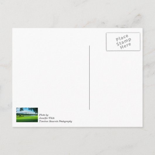 Zomer Op De Golfbaan Briefkaart (Achterkant)