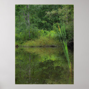 Zomer op de Pond Poster