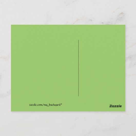 Zomer op het Wylie-meer! Briefkaart (Achterkant)