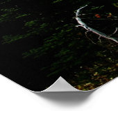 Zomer op Mount Rainier Poster (Hoek)