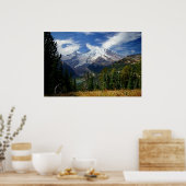 Zomer op Mount Rainier Poster (Keuken)