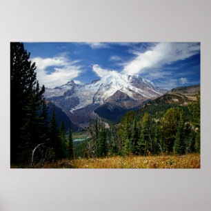 Zomer op Mount Rainier Poster